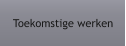 Toekomstige werken